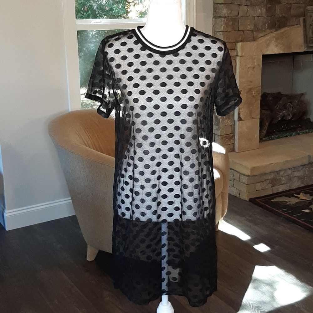 H&M Divided Sheer Black Polka-dots Crew Neck Dress
